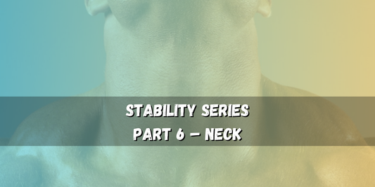 Neck Stability – Impact & Safety